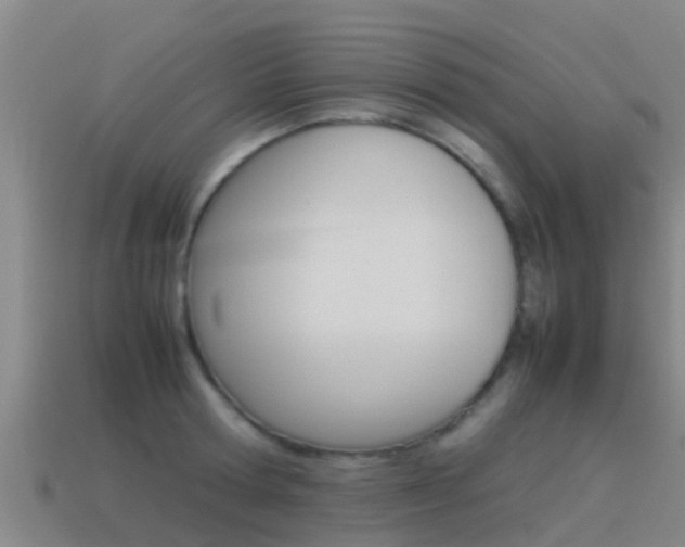 X0000115500802200911061021