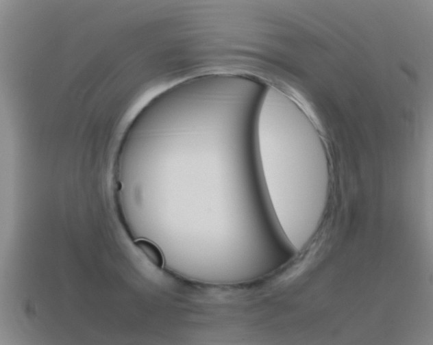 X0000115500803200911061021