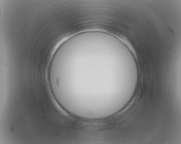 X0000115500805200911061021