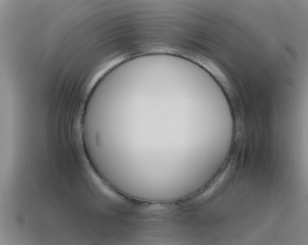 X0000115500806200911061021