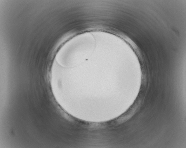 X0000115500807200911061021