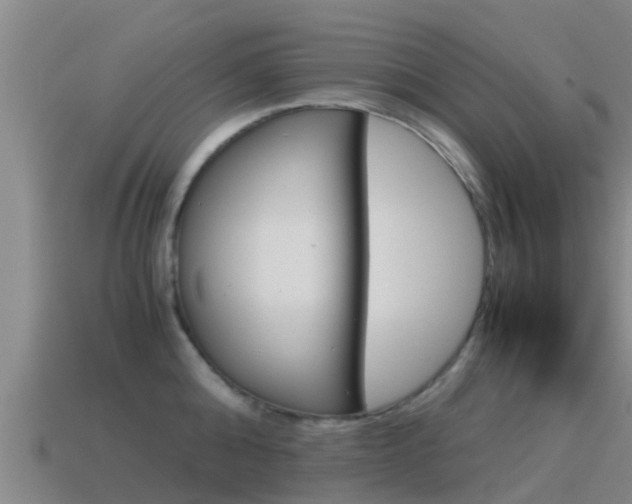 X0000115500808200911061021