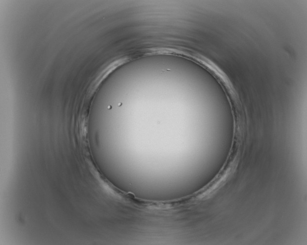 X0000115500809200911061021