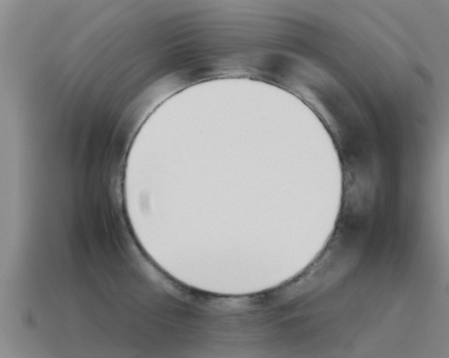 X0000115500810200911061021