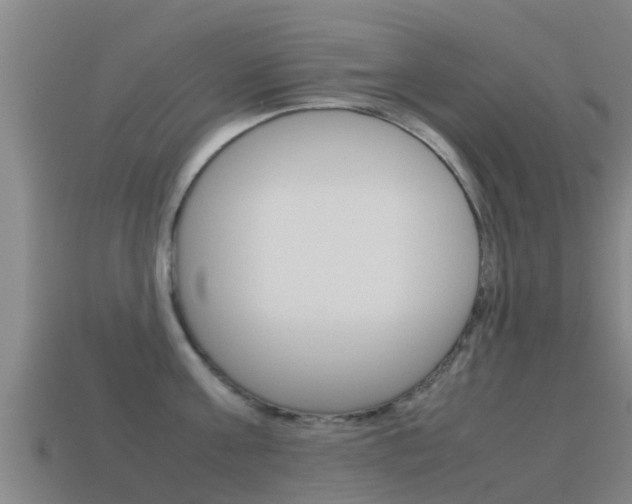 X0000115500811200911061021
