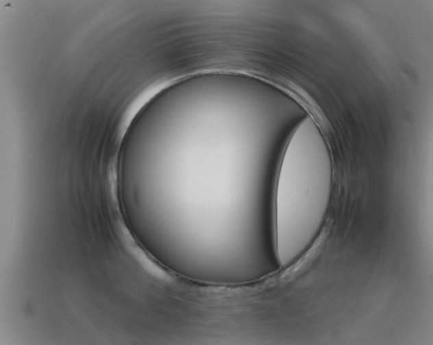 X0000115500812200911061021
