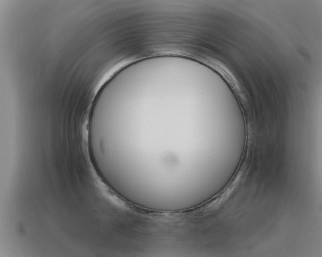 X0000115500814200911061021