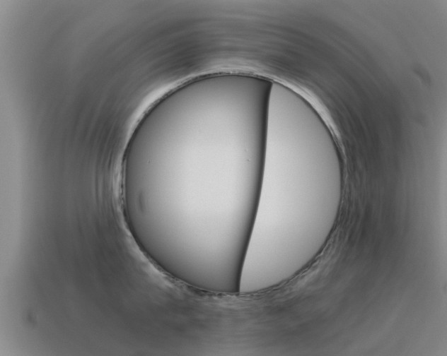 X0000115500815200911061021