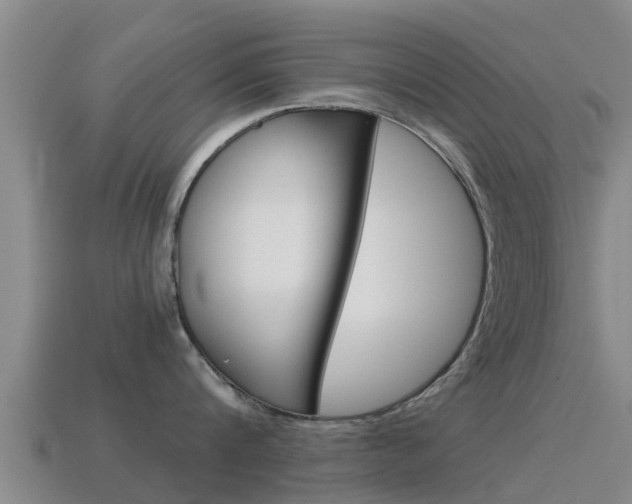 X0000115500816200911061021