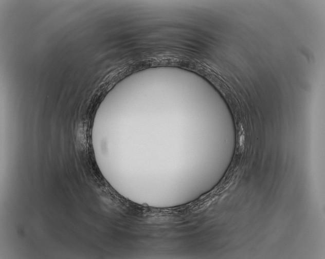 X0000115500819200911061020
