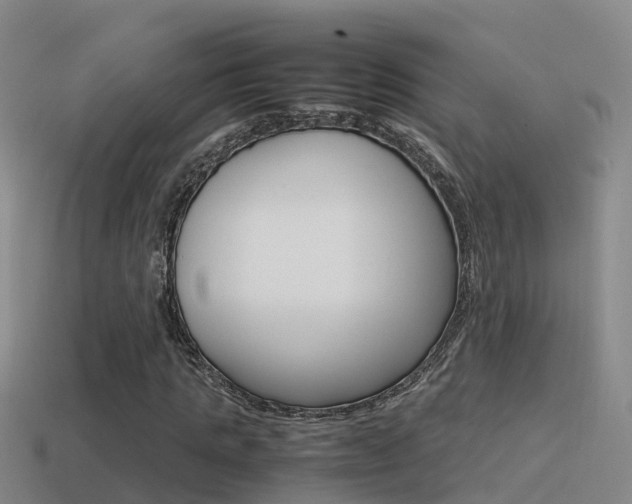 X0000115500821200911061020