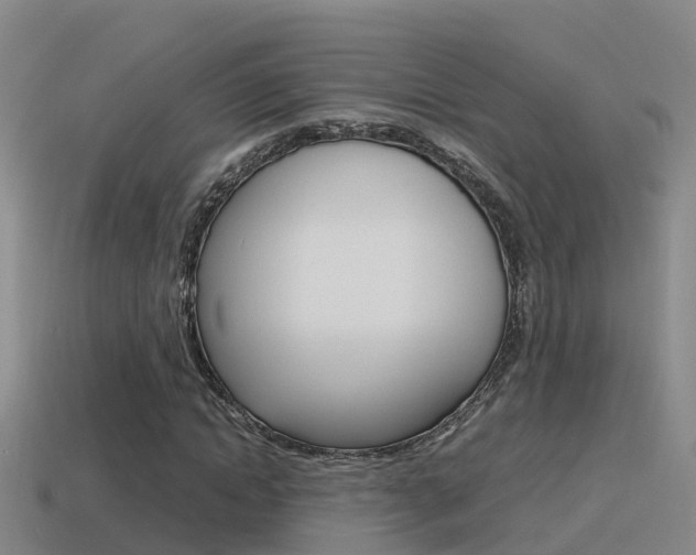 X0000115500822200911061020
