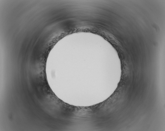 X0000115500824200911061020