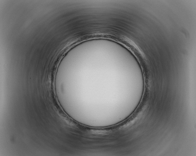 X0000115500825200911061020