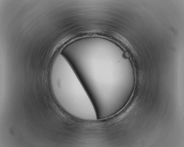 X0000115500826200911061020