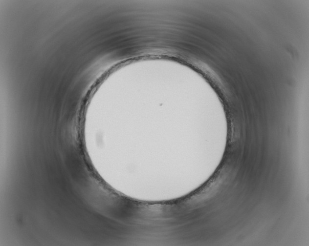 X0000115500828200911061020