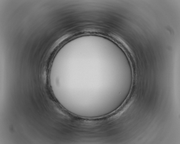 X0000115500829200911061020