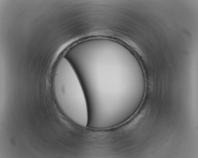 X0000115500830200911061021