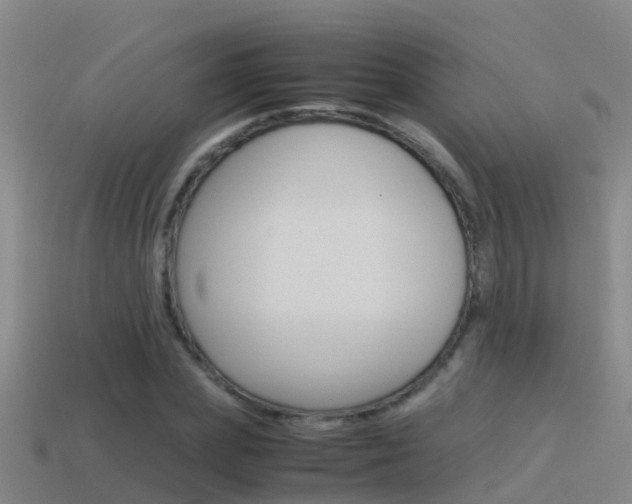 X0000115500831200911061021