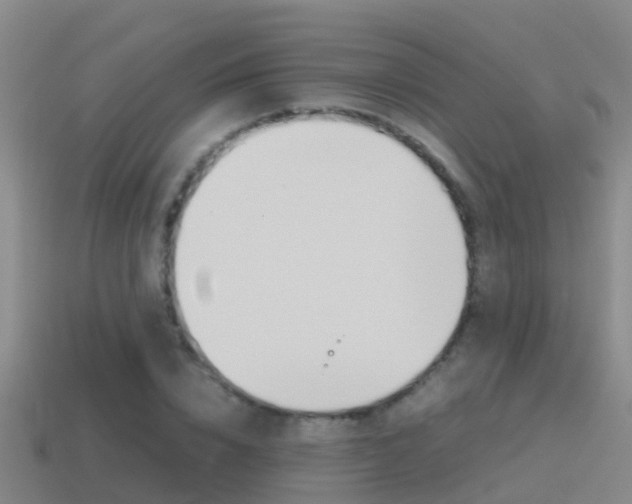 X0000115500832200911061021