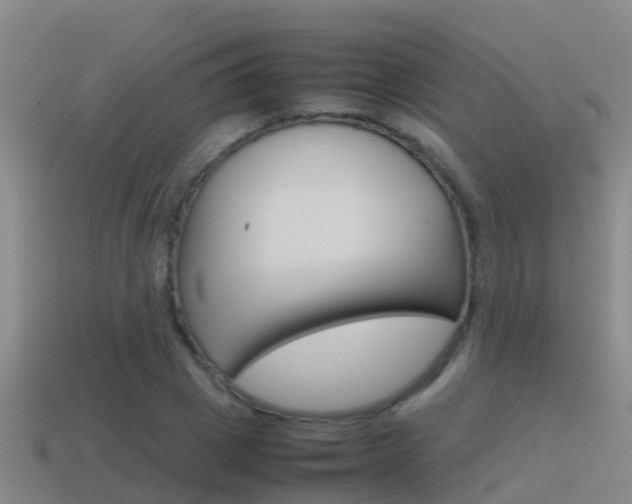 X0000115500833200911061021