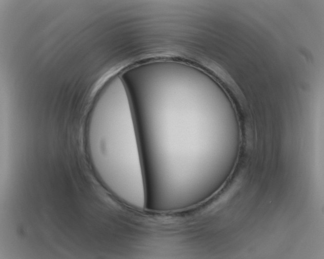 X0000115500834200911061021