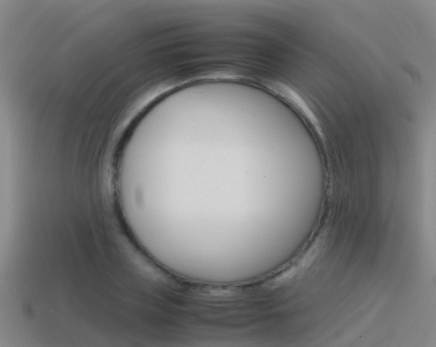 X0000115500835200911061021