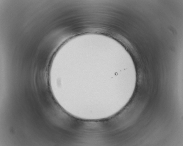 X0000115500836200911061021