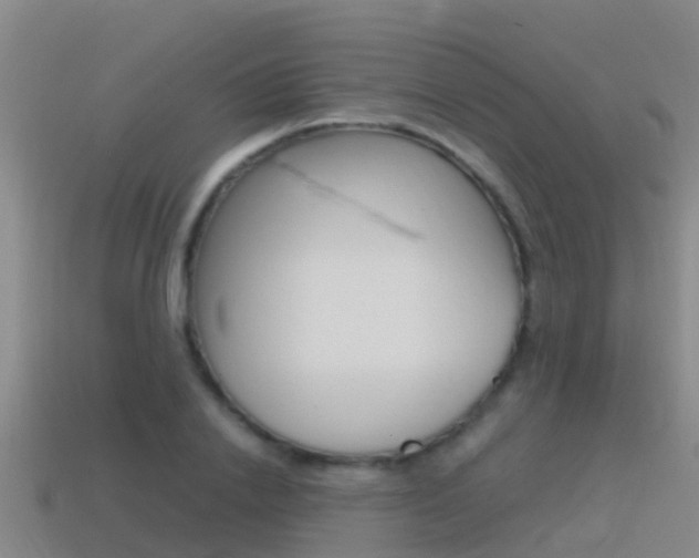 X0000115500838200911061021