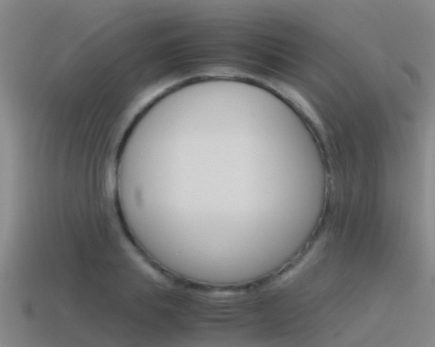 X0000115500839200911061021