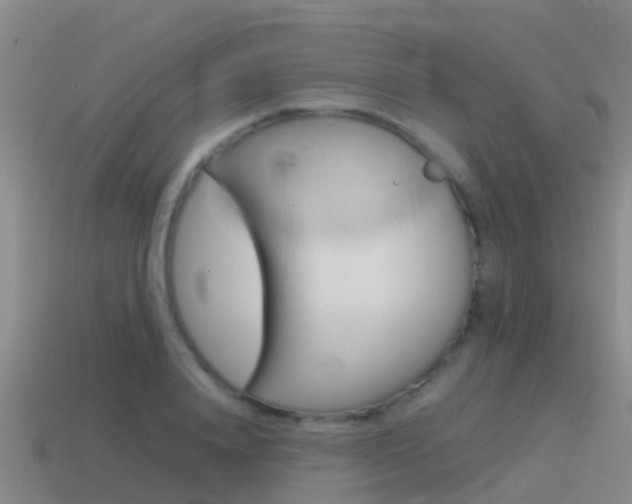 X0000115500840200911061021