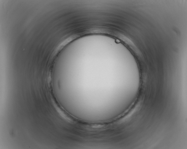 X0000115500841200911061021