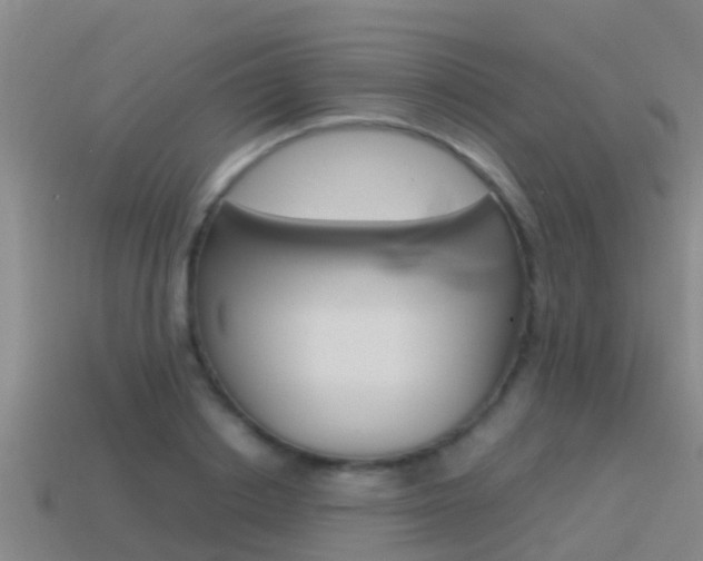 X0000115500842200911061021