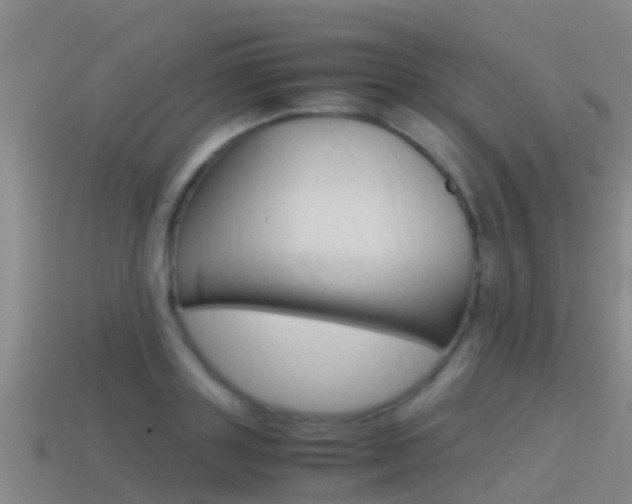 X0000115500843200911061021