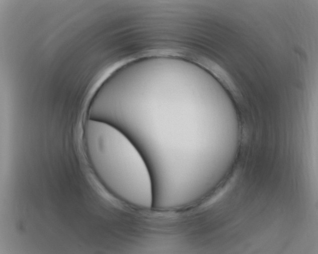 X0000115500844200911061021