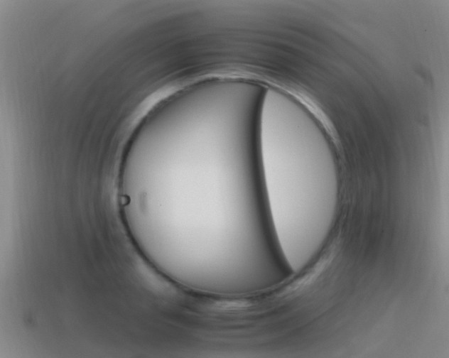X0000115500845200911061021