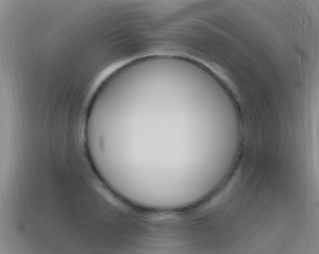 X0000115500846200911061021