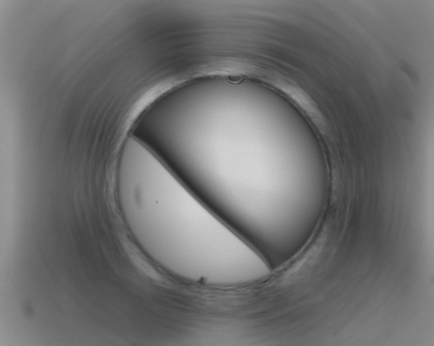 X0000115500850200911061021