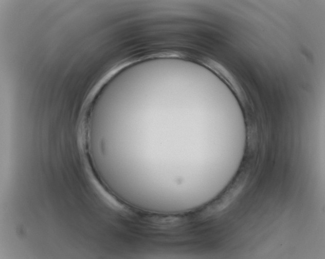 X0000115500851200911061021