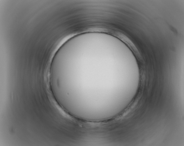 X0000115500852200911061021