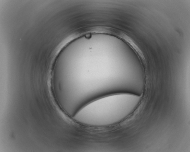 X0000115500853200911061021