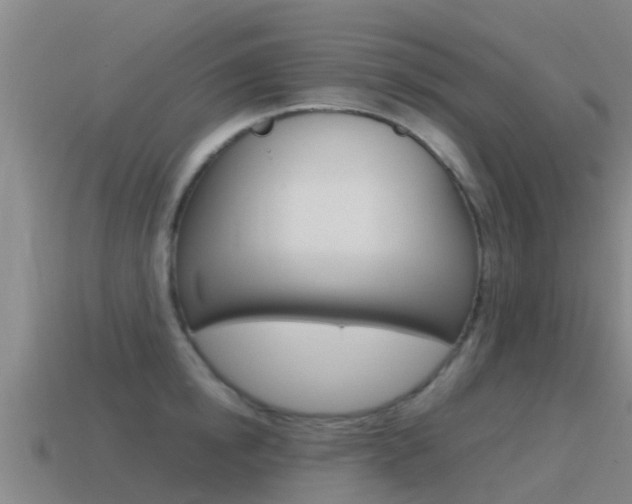 X0000115500854200911061021