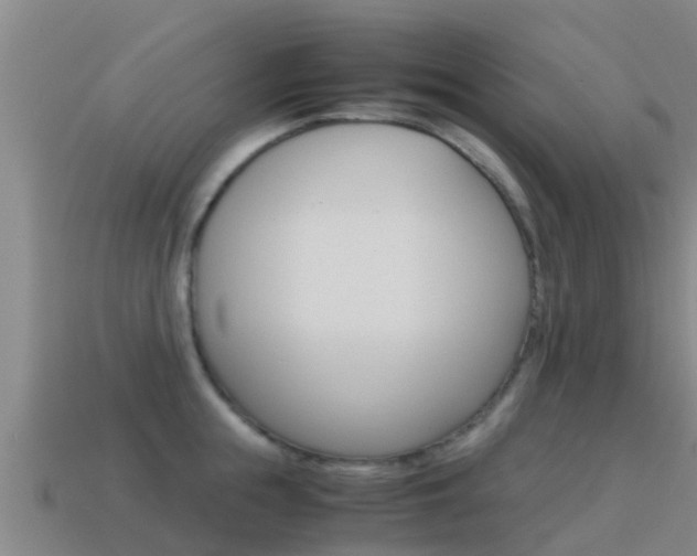 X0000115500855200911061021