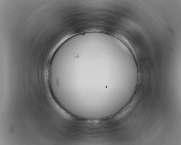 X0000115500859200911061021