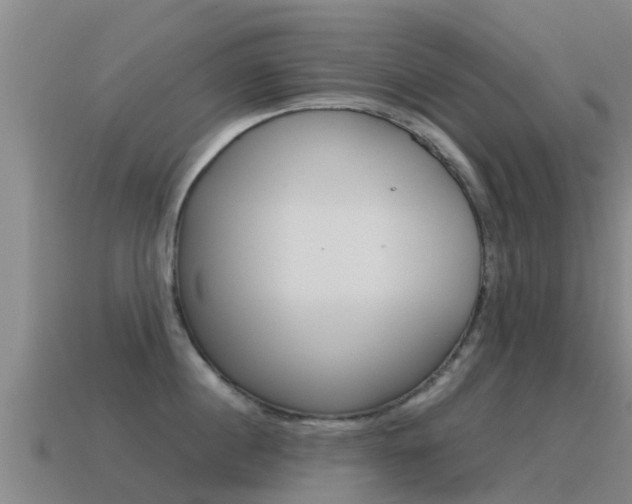 X0000115500860200911061021