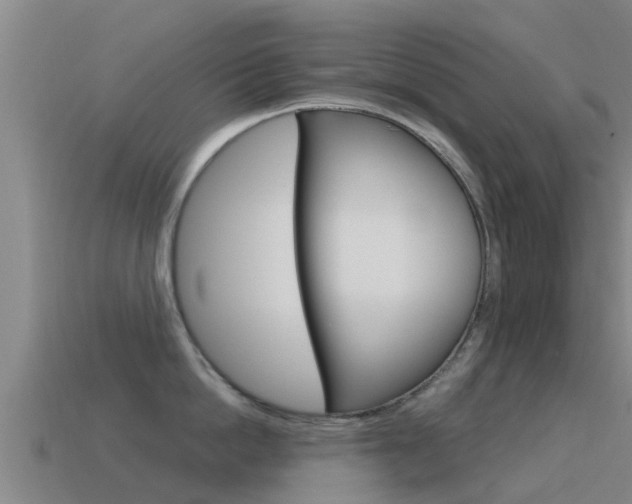 X0000115500862200911061021