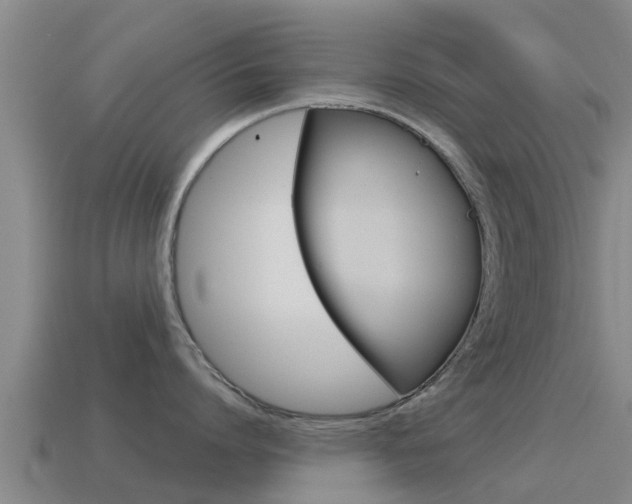 X0000115500864200911061021