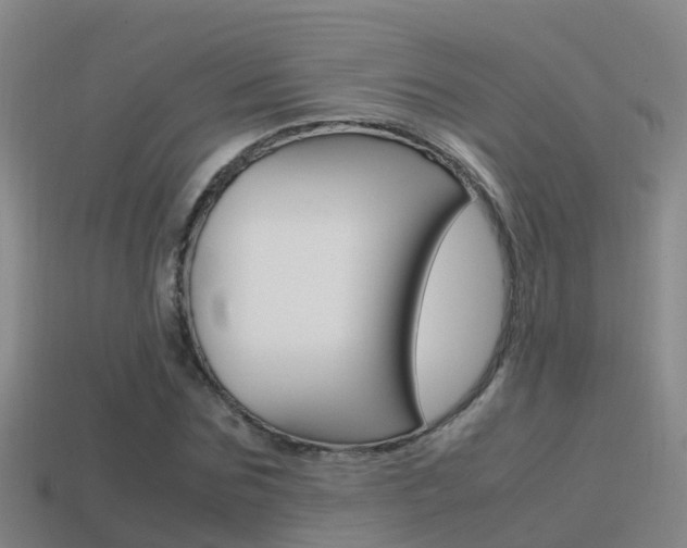 X0000115500875200911061020