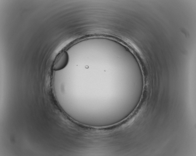 X0000115500877200911061020