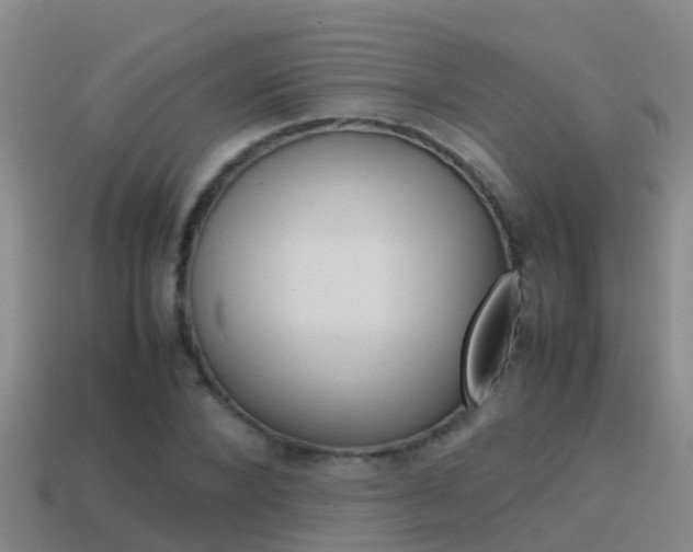 X0000115500880200911061020